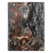 Carnet Cendres (Devant)