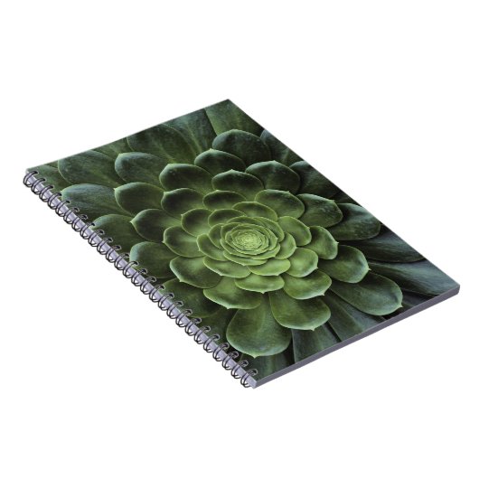 Carnet Centre de cactus (Côté Droit)