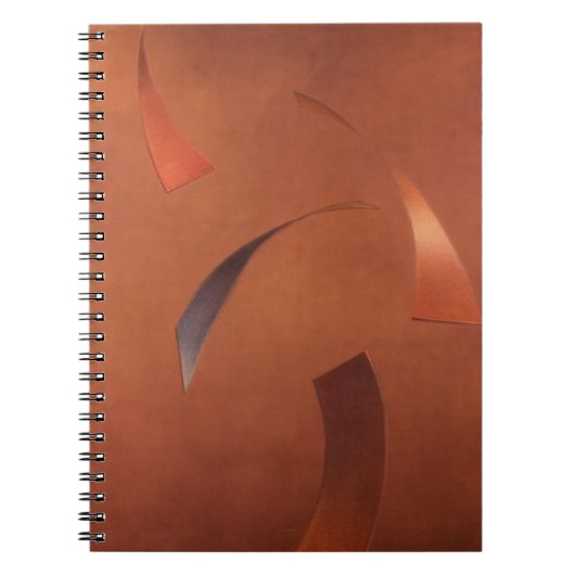 Carnet Centrifugez 2010 (Devant)