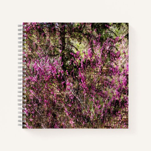Carnet Cercis...... (Devant)