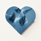 Carnet Cercle de lumière dans la neige (Dos)