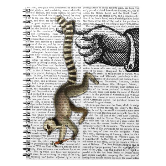 Carnet Cercle Lémur à bout sur doigt 2 (Devant)