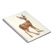 Carnet Cerf (Côté Droit)
