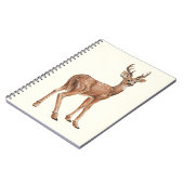 Carnet Cerf (Côté gauche)