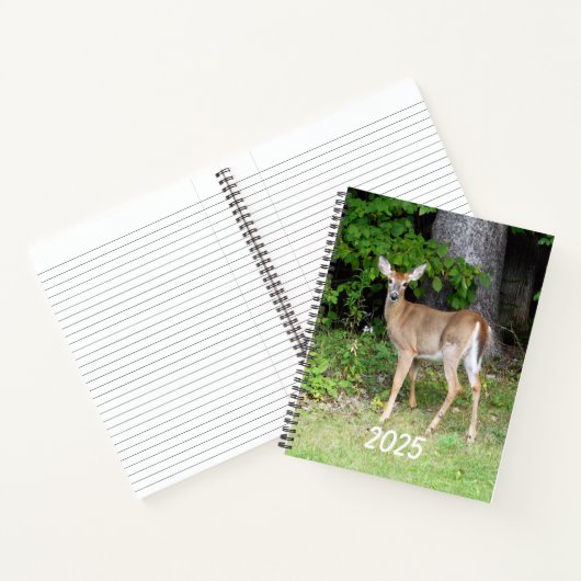 Carnet Cerf 2025 (Intérieur)