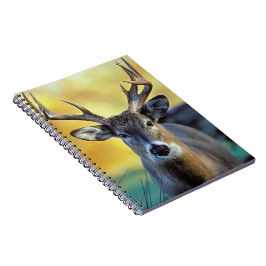 Carnet Cerf à queue blanche | Automne (Côté Droit)