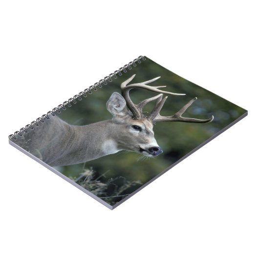 Carnet Cerf à queue blanche | État de Washington (Côté gauche)