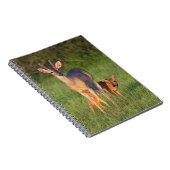Carnet Cerf à queue blanche | Habitat herbeux (Côté Droit)