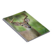 Carnet Cerf à queue blanche | Hill Country, Texas (Côté Droit)