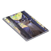 Carnet Cerf à queue blanche près (Côté Droit)