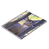 Carnet Cerf à queue blanche près (Côté gauche)