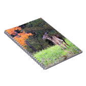Carnet Cerf à queue blanche près (Côté Droit)