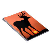 Carnet Cerf à queue noire ou Cerf mulet | Parc national O (Côté Droit)