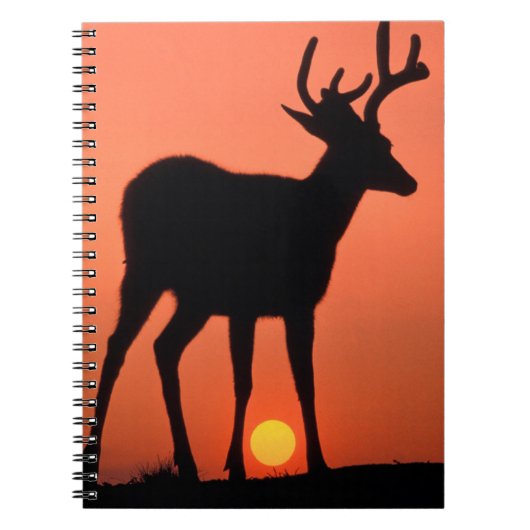 Carnet Cerf à queue noire ou Cerf mulet | Parc national O (Devant)