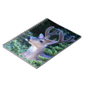 Carnet Cerf à queue noire | Parc national olympique (Côté gauche)