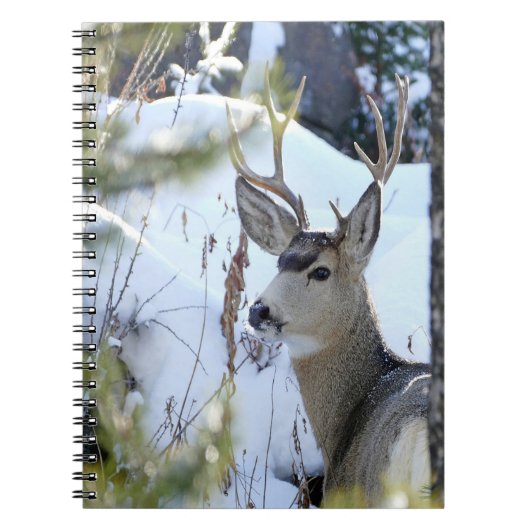 Carnet Cerf Dans La Neige (Devant)