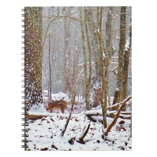 Carnet Cerf dans la neige, lécher la jambe (Devant)