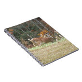 Carnet Cerf d'automne dans le lac Arrowhead (Côté Droit)