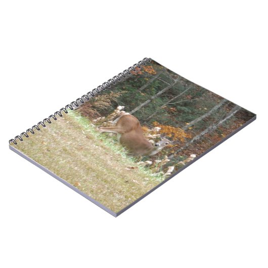 Carnet Cerf d'automne dans le lac Arrowhead (Côté gauche)