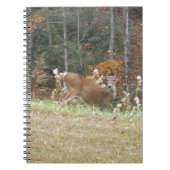 Carnet Cerf d'automne dans le lac Arrowhead (Devant)