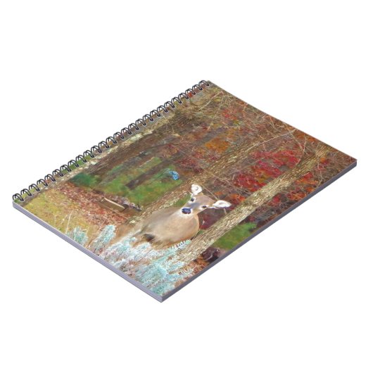 Carnet Cerf de Noël (Côté gauche)