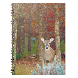 Carnet Cerf de Noël
