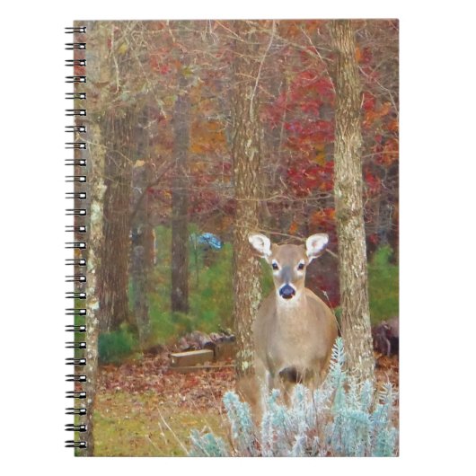 Carnet Cerf de Noël (Devant)