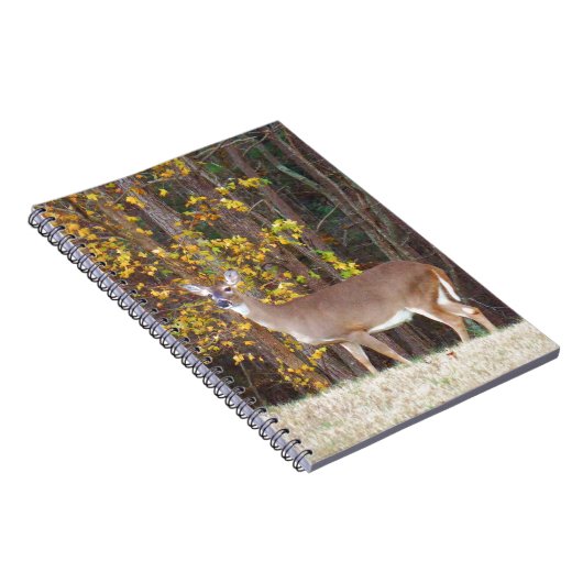 Carnet Cerf devant l'arbre d'automne jaune (Côté Droit)