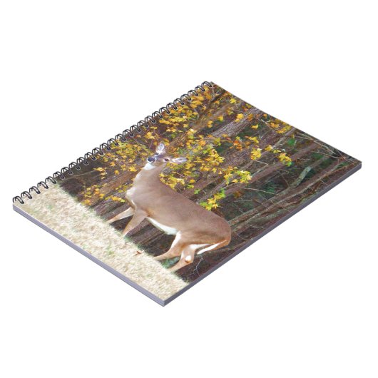 Carnet Cerf devant l'arbre d'automne jaune (Côté gauche)