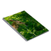 Carnet Cerf roux dans la forêt. (Côté Droit)