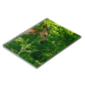 Carnet Cerf roux dans la forêt. (Côté gauche)