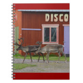CARNET CERFS COMMUNS DE DISCO (Devant)