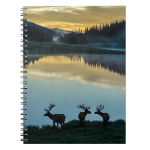 Carnet Cerfs mâles silhouettés sur le lac Poudre au lever