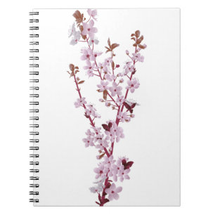 Carnet Cerisier en fleurs 2