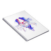 Carnet Cerveau et Tracktography (Côté Droit)