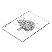 Carnet Cerveau Scientifique (Côté gauche)
