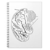 Carnet Cerveau vintage (Devant)