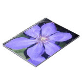 Carnet Césarine (Côté gauche)