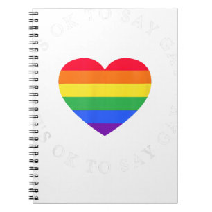 Carnet C'Est Ok De Dire Gay Florida LGBTQ Pride Mois Ally