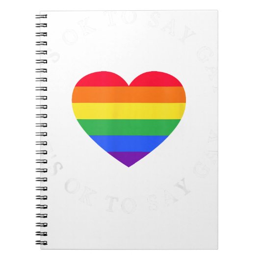 Carnet C'Est Ok De Dire Gay Florida LGBTQ Pride Mois Ally (Devant)