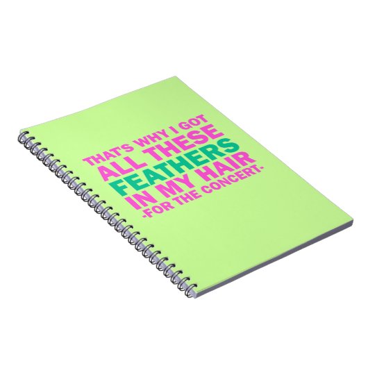 Carnet C'est pourquoi j'ai obtenu toutes ces plumes dans (Côté Droit)