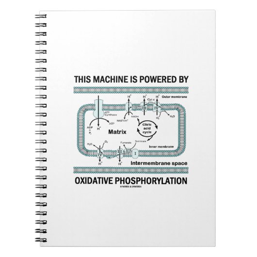 Carnet Cette Machine Alimentée Par La Phosphylation Oxida (Devant)