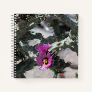Carnet Challa Cactus en fleurs