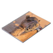 Carnet Chameau avec une expression faciale drôle - Oman (Côté gauche)