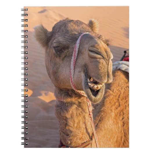 Carnet Chameau avec une expression faciale drôle - Oman (Devant)
