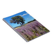 Carnet Champ Clary sauge en France (Côté Droit)