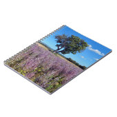 Carnet Champ Clary sauge en France (Côté gauche)