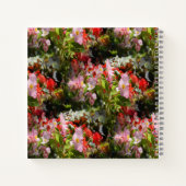 Carnet Champ de Begonias..... (Dos)
