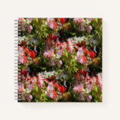 Carnet Champ de Begonias..... (Devant)