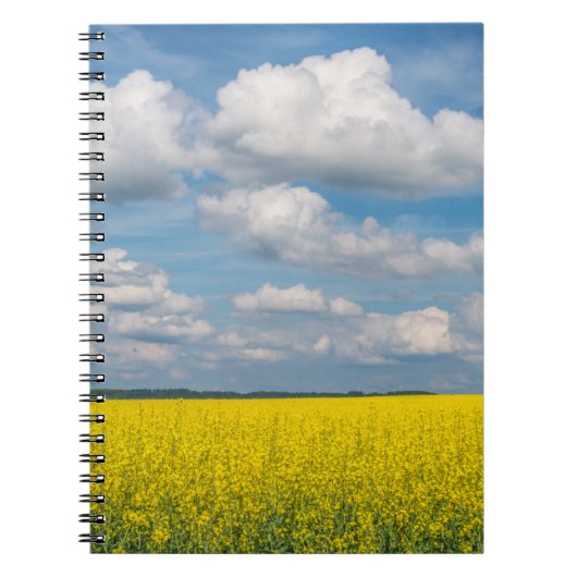 Carnet Champ de Canola & Nuages (Devant)